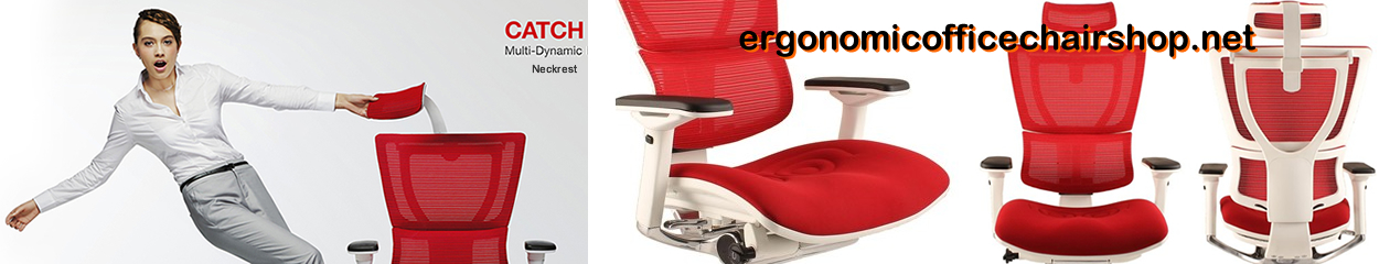 Ergonomic Office Chair Shop